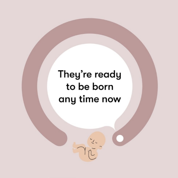 Meet your Posher, Ali - Picture 3 of 5